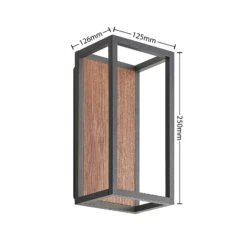 Lucande Rafail LED-Außenwandlampe, Dunkelgrau -Lucande 9616276 3