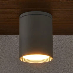 Lucande Außen-Deckenstrahler Minna, Silbergrau -Lucande 9618024 2