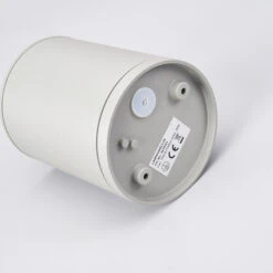 Lucande Außen-Deckenstrahler Minna, Silbergrau -Lucande 9618024 7