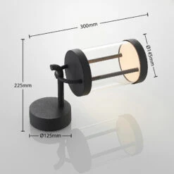 Lucande Caius LED-Außenwandleuchte -Lucande 9619166 3