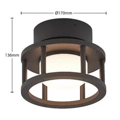 Lucande Berenike Außendeckenleuchte -Lucande 9619327 3