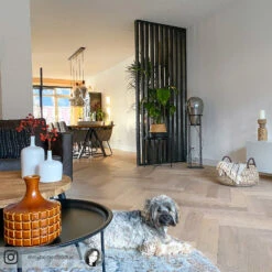 Lucande Viyan Stehleuchte Mit Glasballon -Lucande 9626162 8